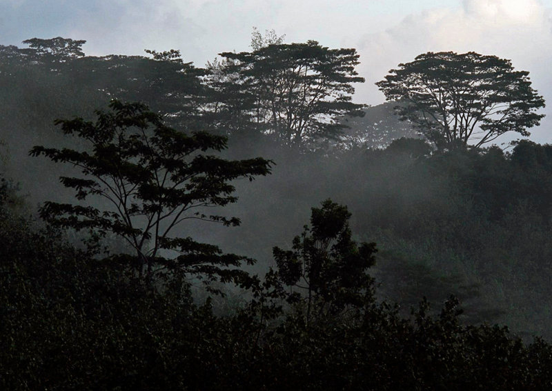 Kauai-Misty-Landscape