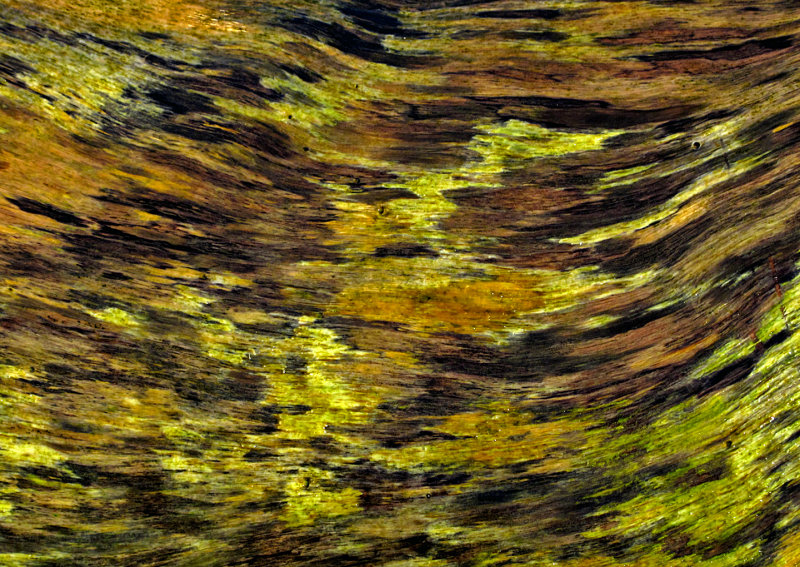 Wet-Beach-Wood