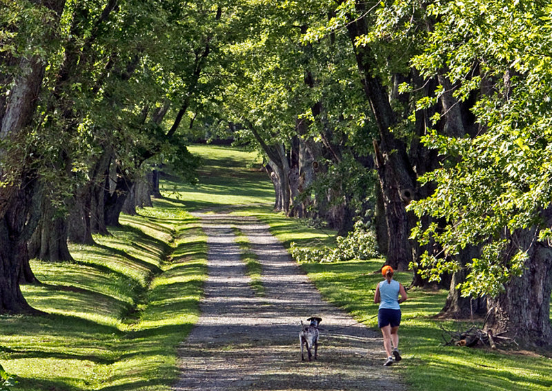 Runner-with-Dog-on-Driveway