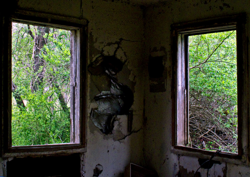 Old-House-Windows-7