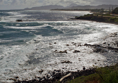 Highway-Near-Kauai Coast