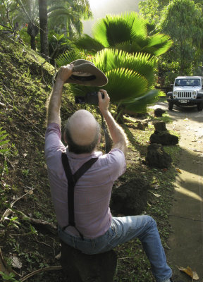 W. photographing Palm Leaves