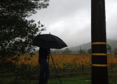 W. photographing Ca. Vineyard in Rain