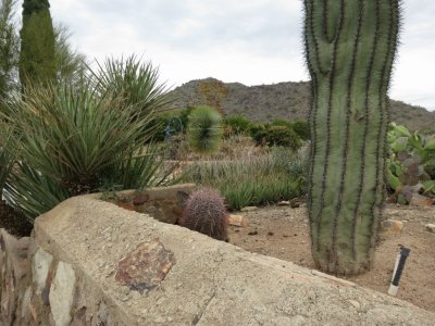 Gardens at Taliesin West