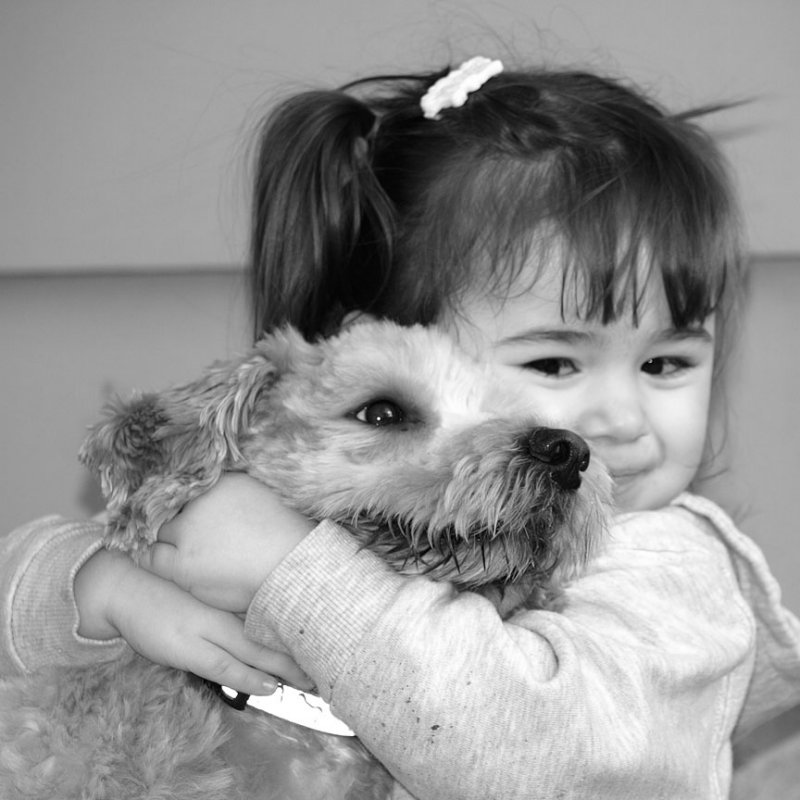pb05-05-12-081.jpg