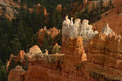 guardians of the canyon...