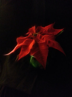20121203_221918b.jpg