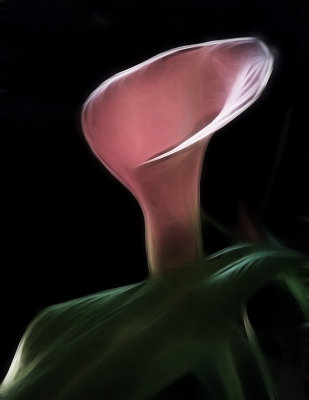 HTC 3555 Crop.jpg