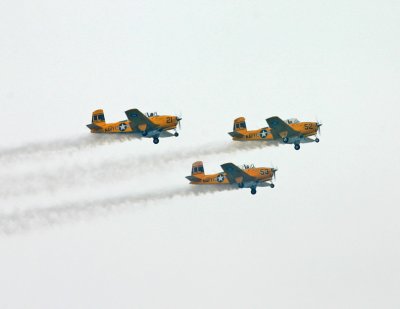 IMG_8771_11x85.jpg