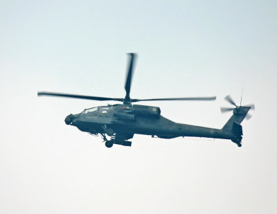 IMG_8782_11x85.jpg