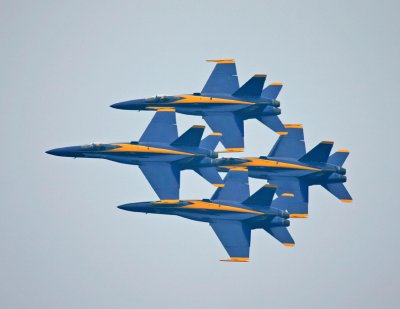 IMG_8811_11x85.jpg