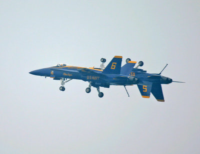 IMG_8822_11x85.jpg