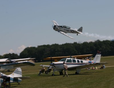 IMG_8890.JPG