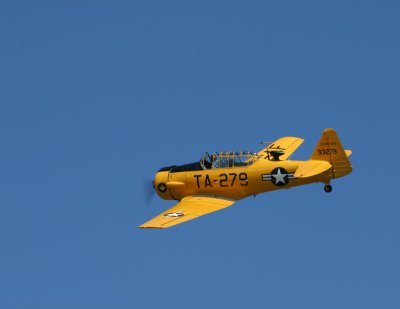 IMG_8908.JPG