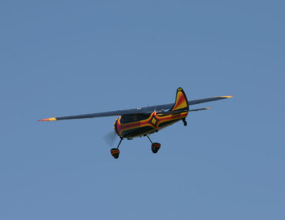 IMG_8963.JPG