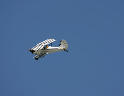 IMG_8972.JPG
