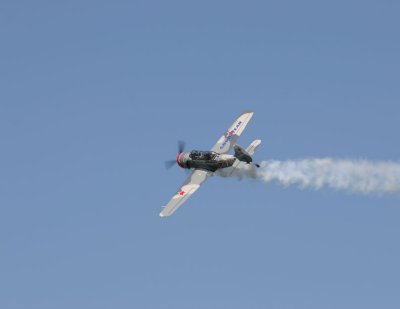 IMG_8981.JPG