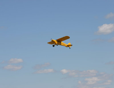 IMG_8995.JPG