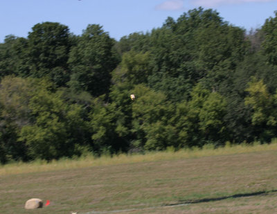 IMG_9074.JPG