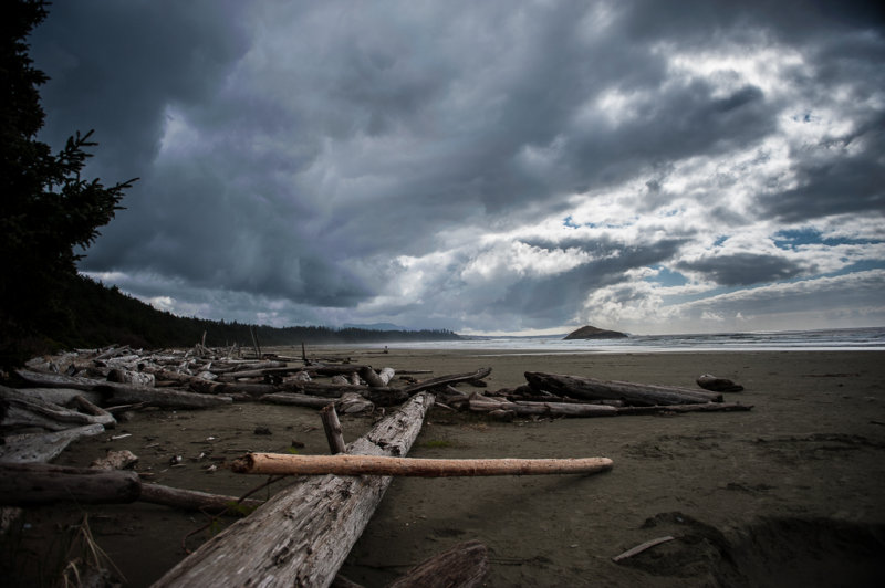 Chesterman Beach - AlanStoryCAPA Spring 2013 - Open/NatureOpen