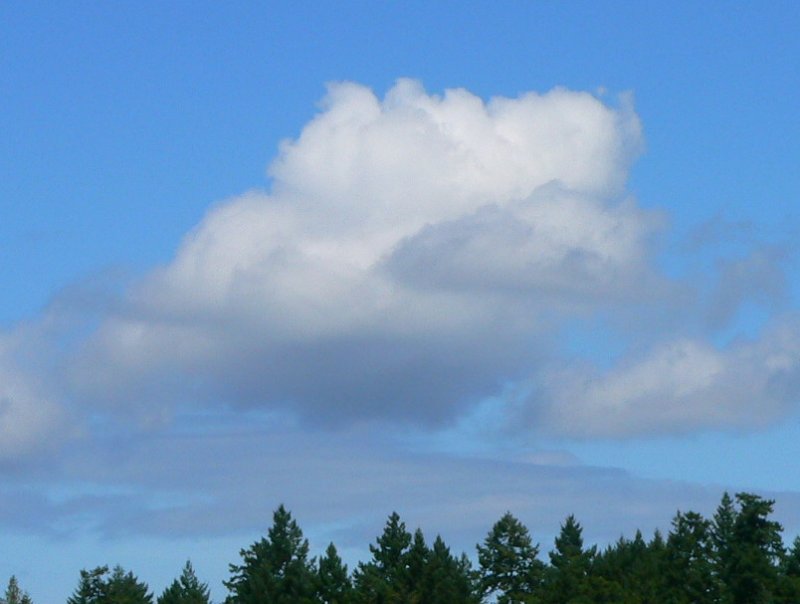 #15 Weather (cumulus cloud) - ER