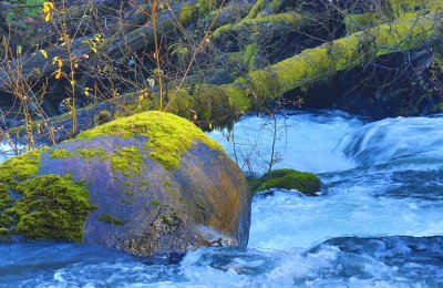 DB-Series3 - Image 3 - Cowichan River