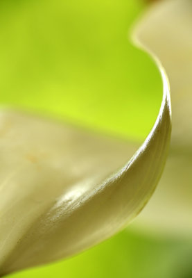 g2/54/364954/3/148180601.5C0sRgiB.jpg