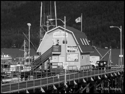 * Cowichan Bay: January 6, 2013