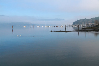 g2/54/364954/3/148607825.0WZEoAiR.jpg