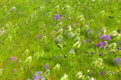 g2/54/364954/3/149256047.C2p2mQfJ.jpg
