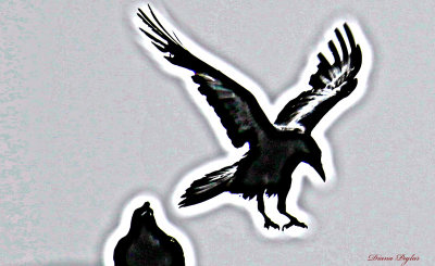 g2/54/364954/3/149620954.ut7qX88z.jpg