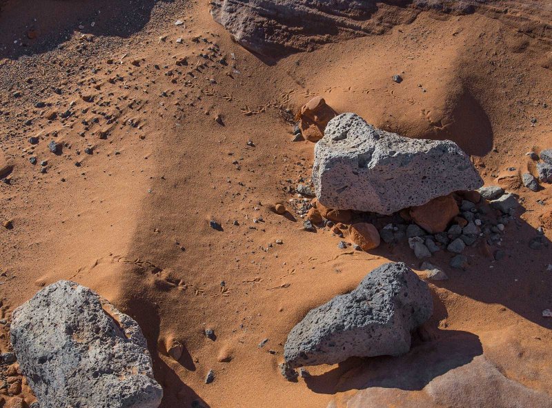 Sand Hollow State Park