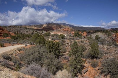 Red Cliffs Conservation Area - Dixie Forest 