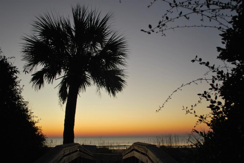 Palmetto State Sunrise