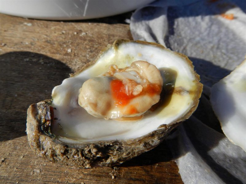 Steamed Oyster and Cocktail Sauce