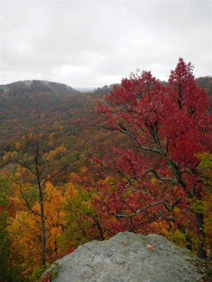 Anglin Falls / Berea Woods - October 28, 2012