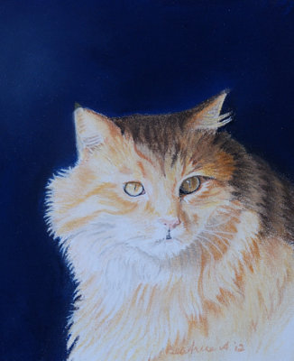 Fluffy cat - pastel pencils on Mi Tientes paper