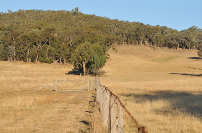 Boundary fence up hill