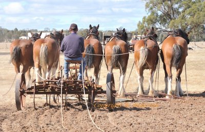 Rick's team making a well coordinated right turn