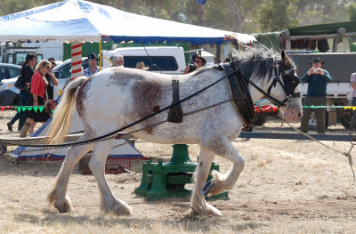 One horsepower Merry-go-round.