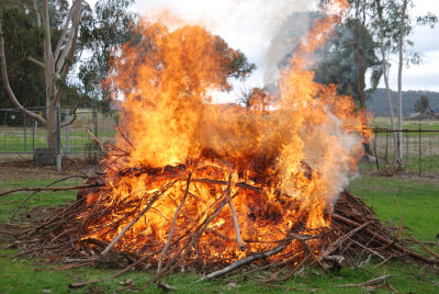 Bonfire of garden and yard clean ups as fire restrictions have been lifted.