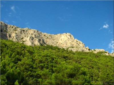 IMG_2794.JPG