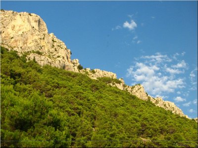 IMG_2795.JPG