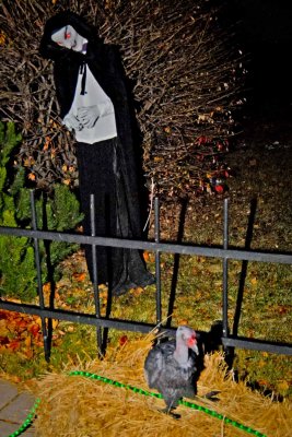 DSC_0114.jpg