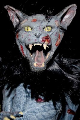 DSC_0039.jpg