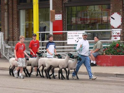 State Fair 010.jpg