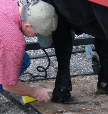 State Fair 015.jpg