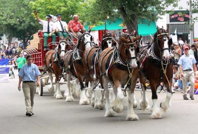 State Fair 162.jpg