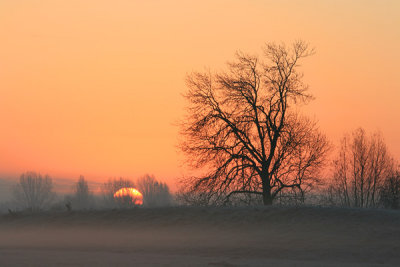 Sunrise, near Hardwick