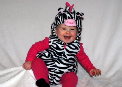 lil zebra